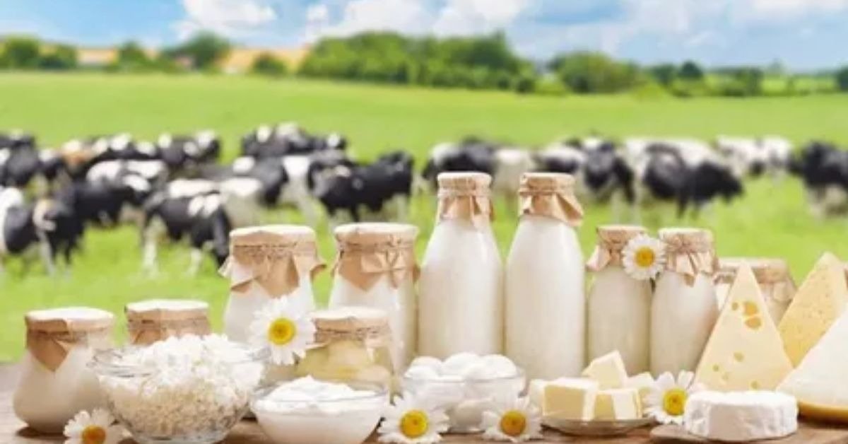Milk Delivery Leicester Explained: Fresh Dairy Straight to Your Door