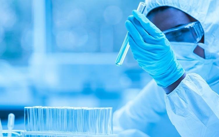 What Role Does DMPK Play in Early Drug Discovery?